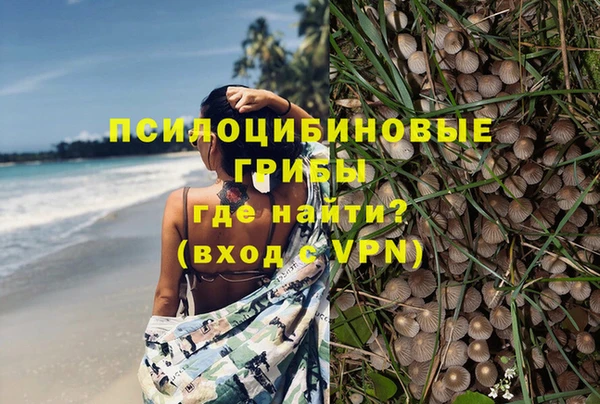 мяу мяу мука Балахна