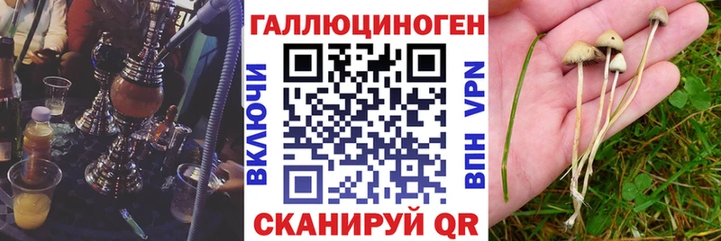 Псилоцибиновые грибы Cubensis цены наркотик Бирюсинск